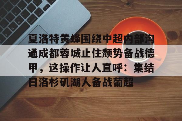 九游（中国)-中超蓉城直播