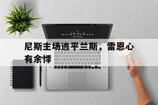 尼斯兰斯 尼斯兰斯